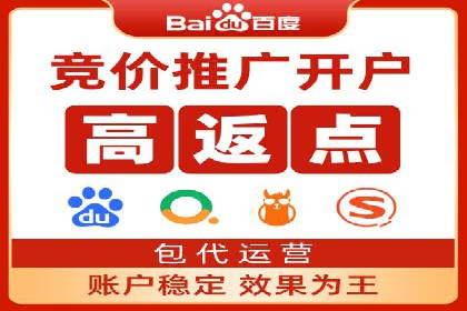 专业SEM代运营托管公司案例分析